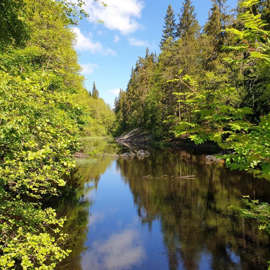 Cabin Near Lake And Beautiful Nature Reserve. Bodafors Luaran gambar